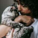 Fotó: Pexels/Sam Lion