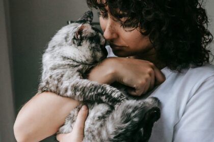 Fotó: Pexels/Sam Lion