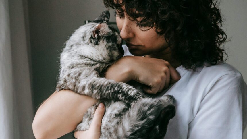Fotó: Pexels/Sam Lion